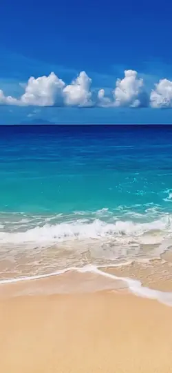 Beach template