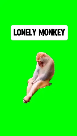 LONELY MONKEY