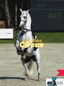 Horse edit 