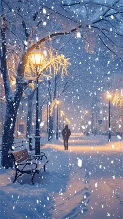 Snowy night