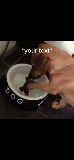 Poor puppy🥺