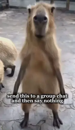 Send to a gc