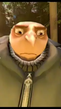 Gru 