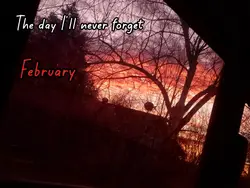 I'll never forget 