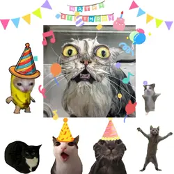 cat happy birthday 
