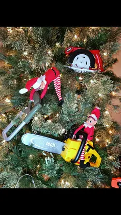 Elf On The Shelf 