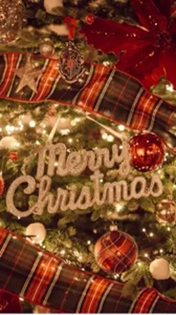 9Photo Christmas tem