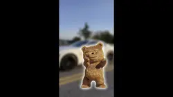 Dancing Bear