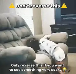 Painful Meme