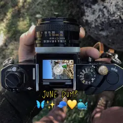 June Dump 🦋✨🧢💛🐳