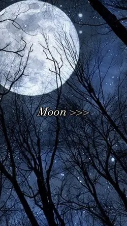 Moon Aesthetic 