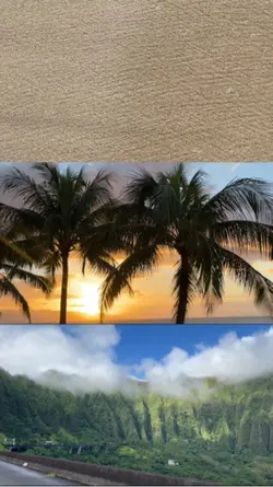 Vlog Intro