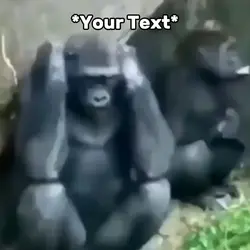 Monkey Crazy