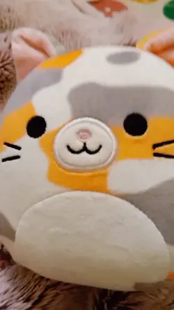 squishmallow kandi