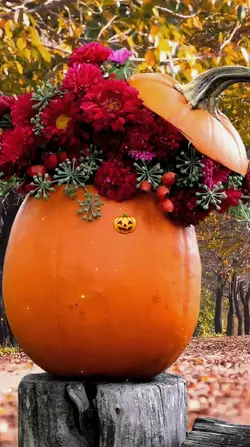Pumpkin