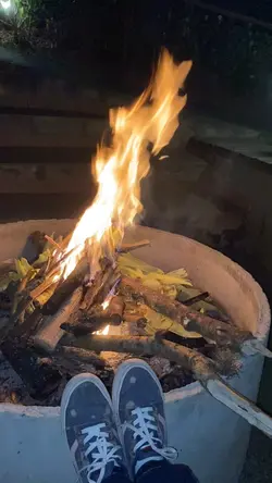 Minha herança 