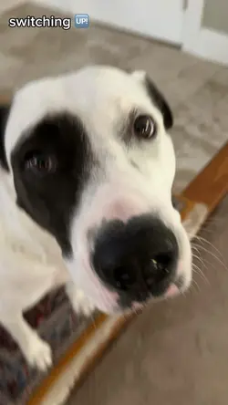 Stop that show!!! 