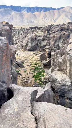 Adventures