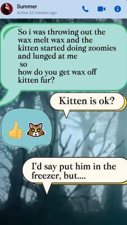Text Message
