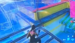 Fortnite win