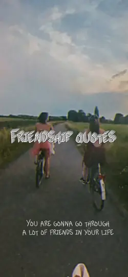 Friendship quotes 