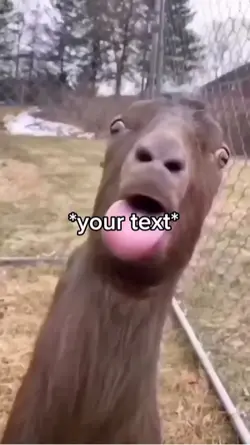 Goat meme