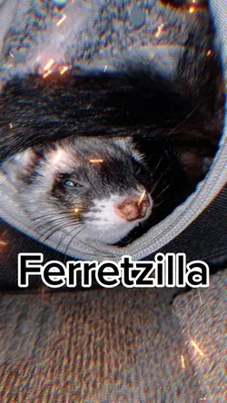 Ferretzilla