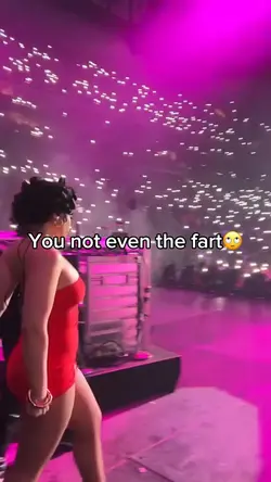 ICE SPICE FART