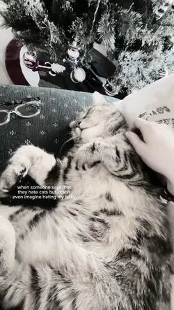 my sweet baby 🤍