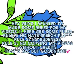 rules for my videos