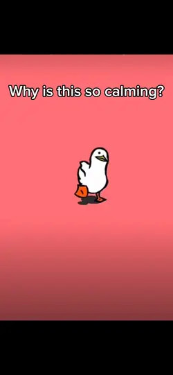 Calming duck