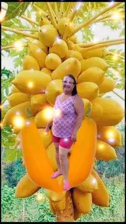 foto fruta 