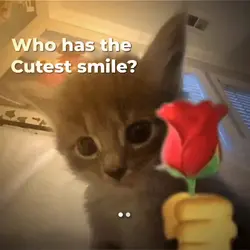 smile?