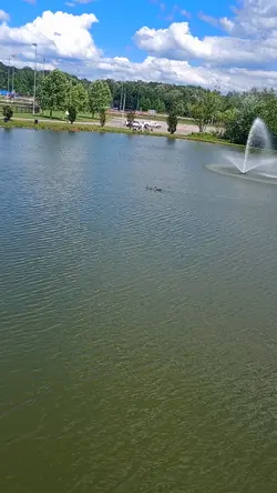 LAGO