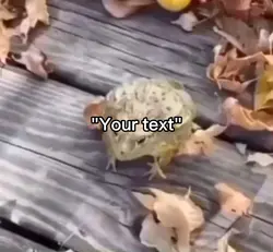 Laughing frog meme