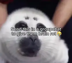 Talking seal
