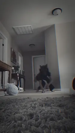 High-ish jump :0 