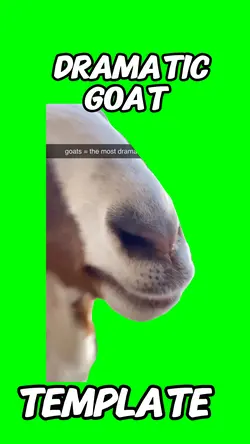 Dramatic goat 
