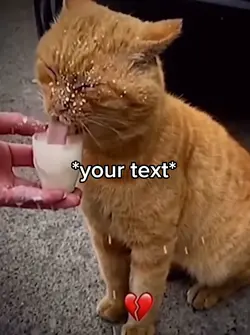 Cat & milk 