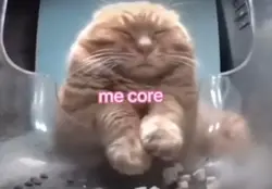 Me core