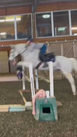 3ft oxer