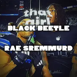 Black Beetles 
