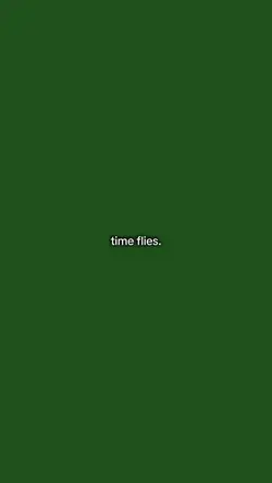 time flies 