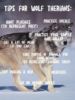 Wolf therians