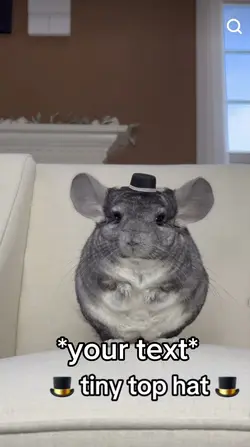 Tiny top hat 