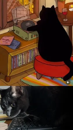 Cat Scratching 