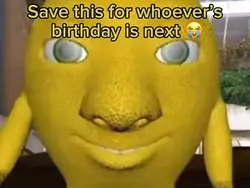 Lemon Birthday