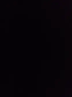 loss