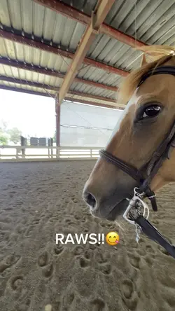 RAWS for edit comp 