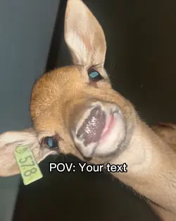 Deer Pov Template